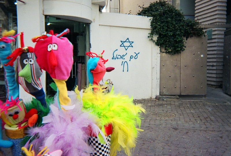פורים, 2006 | כל הזכויות שמורות